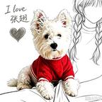 集翅吖头像