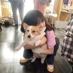 秋天头像