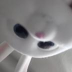 别和小猫计较头像