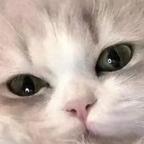 西瓜村悍匪头像