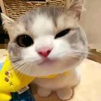 喻春头像