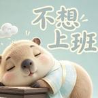 微风细雨夜未眠头像