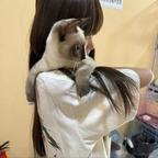 ？头像
