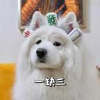 看短剧的树懒头像