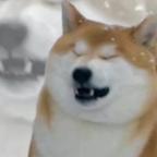 让我赚大钱头像