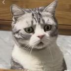 用户89871780头像