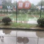 枫叶头像