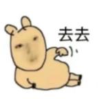 阿里嘎多头像