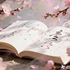 桃源小红果头像