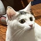 每天看头像