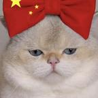 轮回难离因果头像