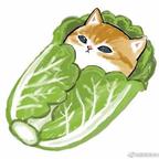 霜叶头像