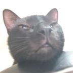 Myeyes头像