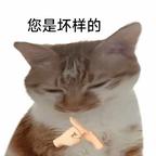 易碎是茶壶的天性头像