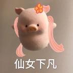 咖都都花莹智贤头像
