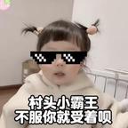 猫头像