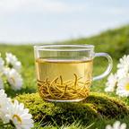 爱吃叶茶的尘老爷头像