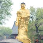 白驹过隙头像