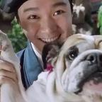 大浪淘沙头像