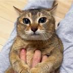 Jane头像