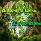 黄姿姿头像