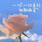 邂逅的灵魂9527头像