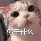 男主不洁就滚头像