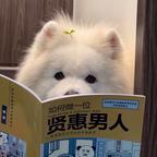 重生之暴龙战士2头像