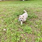 用户名0253头像