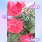 zx123456乐天  头像