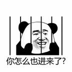 某家管家头像