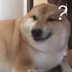 TV头像