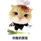 肥美的小猫头像
