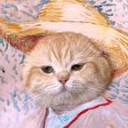 才冬瓜头像