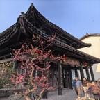 用户名14504120头像