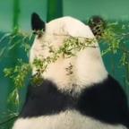 红果知我心头像