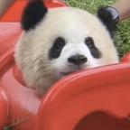 无聊追剧的星星头像