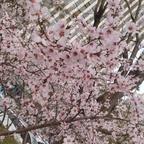 自游人音乐餐吧头像