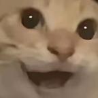 漫剧的小鼻嗝头像