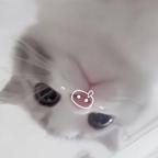 你有點可愛头像