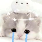 纸鸢头像