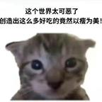 eustoma头像