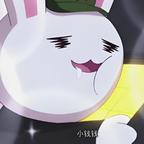 俏兔子大战傻贼鹰那兔头像
