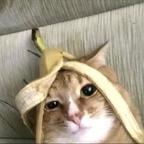 忧郁的香蕉猫头像