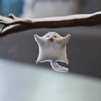 哈哈哈的小猪猪头像
