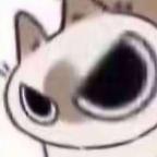 爱猫猫的探险家头像