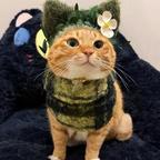 起风了头像