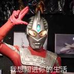 kk头像