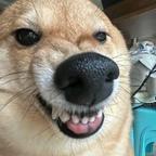 余春娇头像