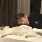 西蒙的猫头像
